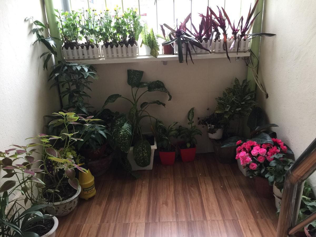 Cozy Homestay Hanoi Exteriör bild